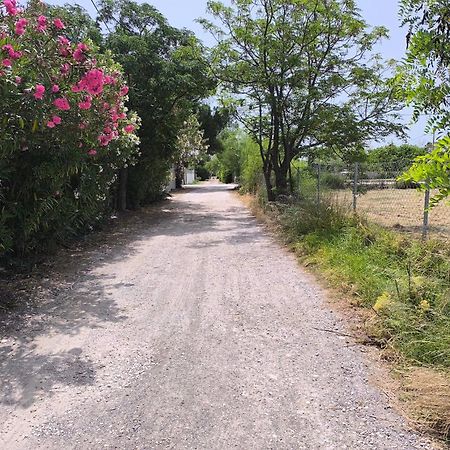 Appartamento Seaside Jacaranda Schinias Esterno foto