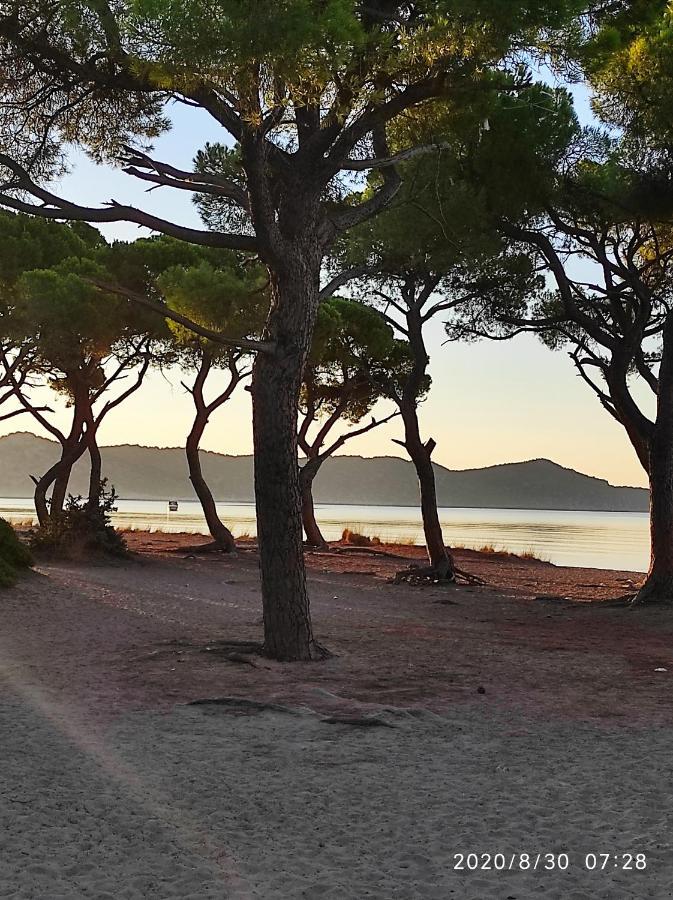 Appartamento Seaside Jacaranda Schinias Esterno foto