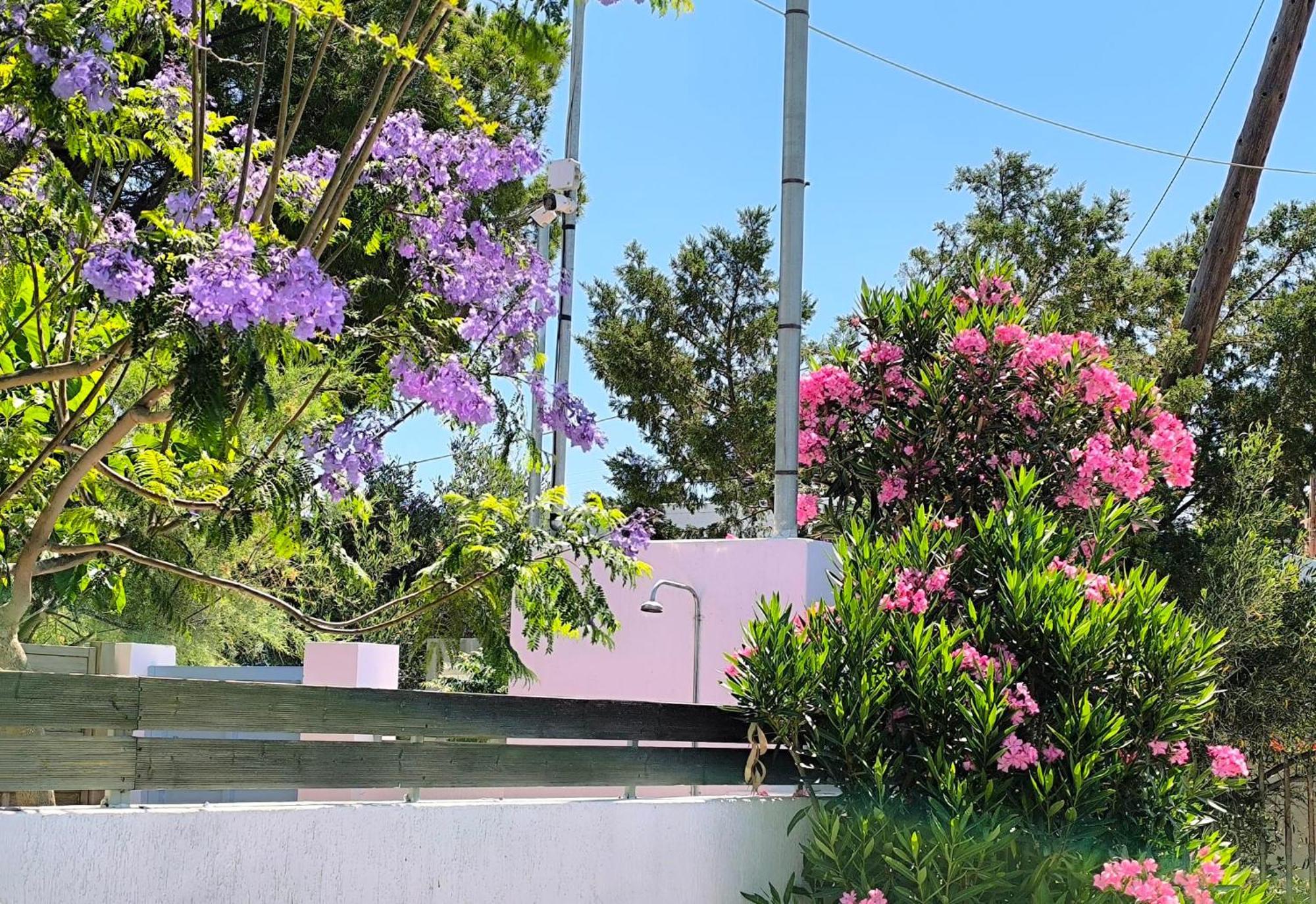 Appartamento Seaside Jacaranda Schinias Esterno foto